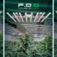 FOG Led Horticole