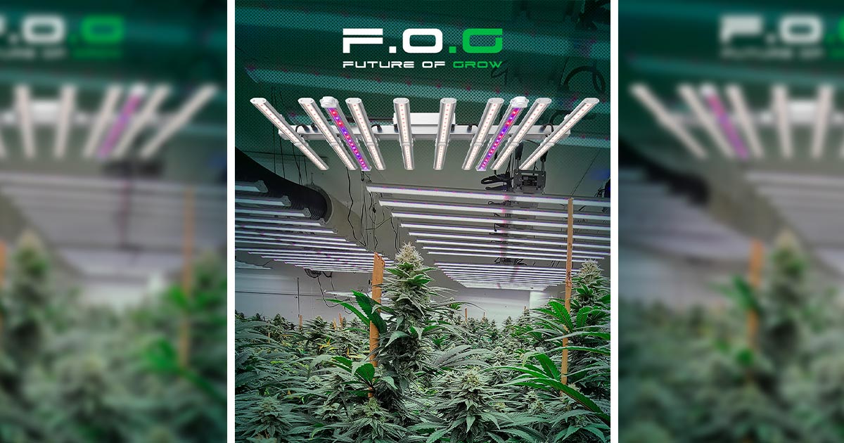 FOG Led Horticole