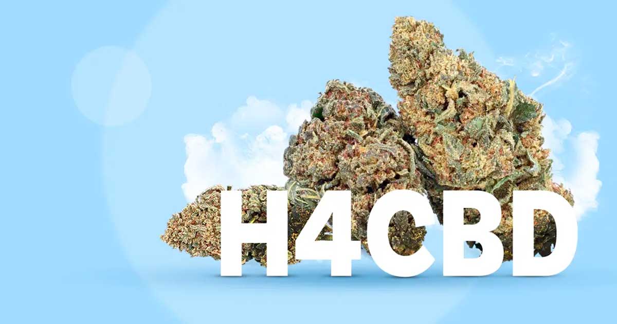 H4CBD chez CBD.fr