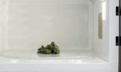 Cannabis au micro-ondes