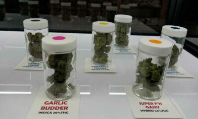 Cannabis légal au Minnesota