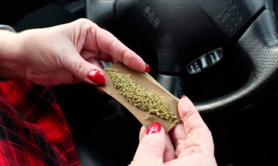 Cannabis et accidents de la route