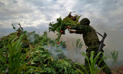 Guerre aux drogues