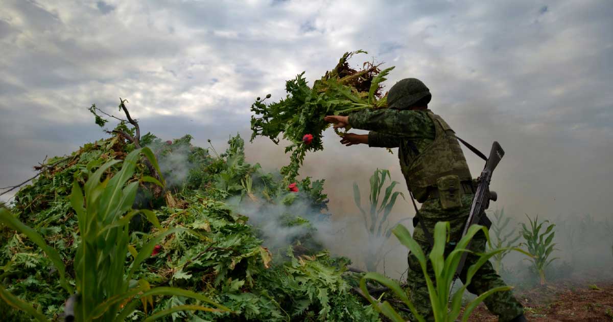 Guerre aux drogues