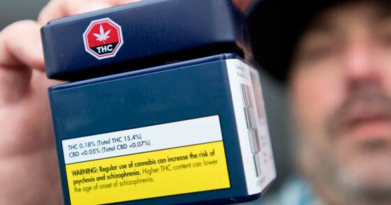Au Canada aussi, la teneur en THC des produits est « gonflée »