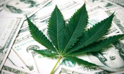 Loi bancaire sur le cannabis aux Etats-Unis