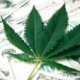 Loi bancaire sur le cannabis aux Etats-Unis