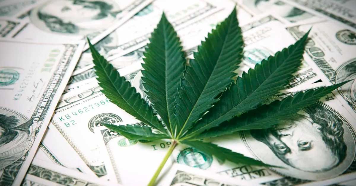 Loi bancaire sur le cannabis aux Etats-Unis