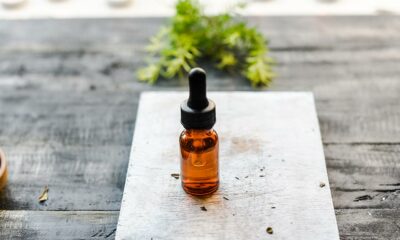 CBD et système endocannabinoïde