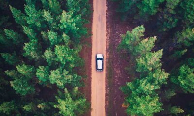 Tests salivaires et cannabis au volant