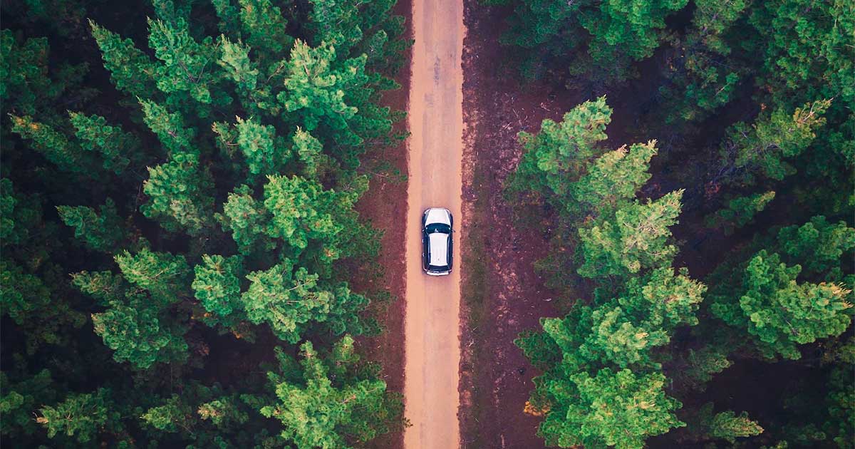 Tests salivaires et cannabis au volant