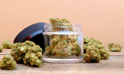 Régulation durable du cannabis