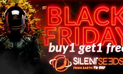 Black Friday de Silent Seeds