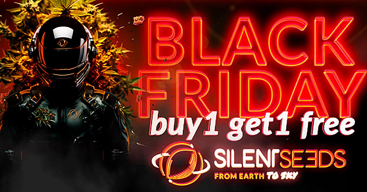 Black Friday de Silent Seeds