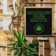 Cannabis Clubs à Malte
