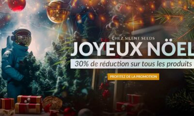 Promotion de Noël de Silent Seeds