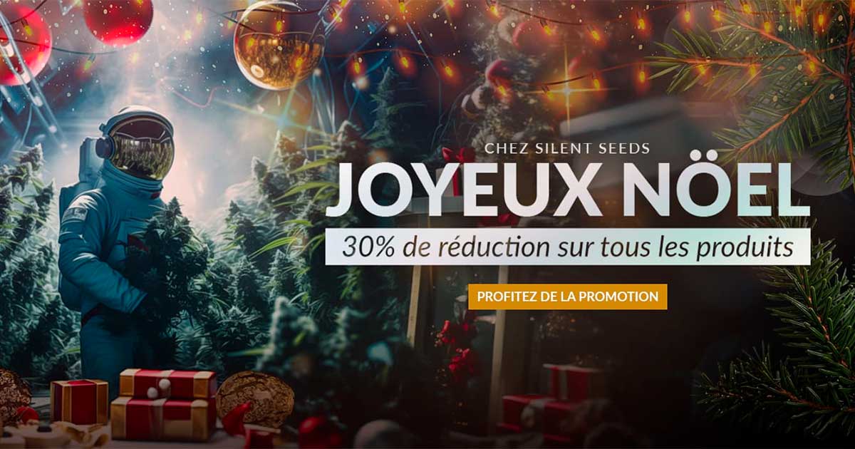 Promotion de Noël de Silent Seeds