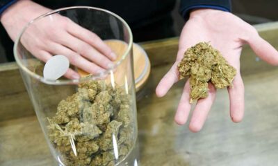 Initiative pour légaliser le cannabis en Finlande