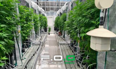 Future of Grow