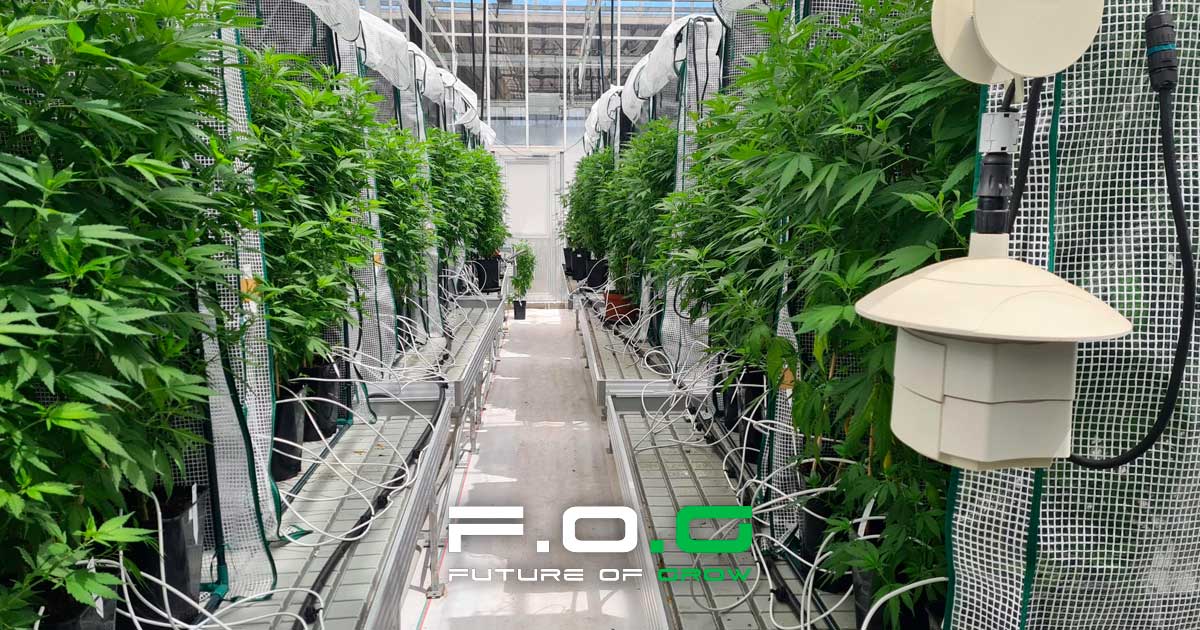 Future of Grow