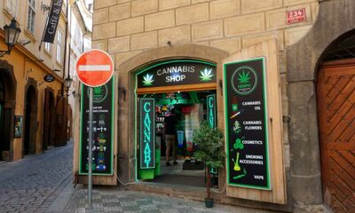 Stratégie politique du cannabis en République Tchèque