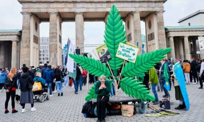 Vote de la légalisation du cannabis en Allemagne