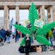 Vote de la légalisation du cannabis en Allemagne