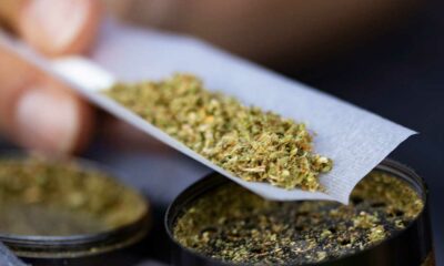 Une possible légalisation du cannabis en Suisse