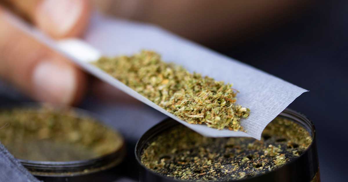 Une possible légalisation du cannabis en Suisse