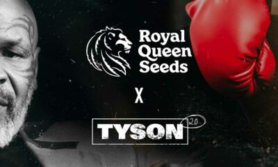 Royal Queen Seeds et Mike Tyson