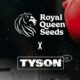 Royal Queen Seeds et Mike Tyson