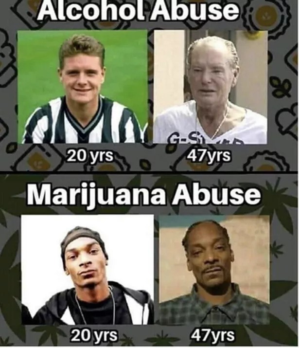 Alcol e Cannabis secondo Snoop Dogg