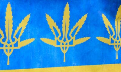 L'Ukraine légalise le cannabis médical