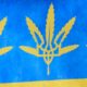 L'Ukraine légalise le cannabis médical