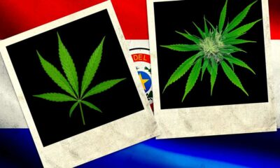Cannabis au Paraguay
