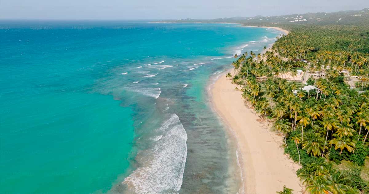 Cannabis médical aux Bahamas