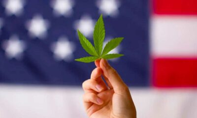 Reclassification du cannabis aux USA