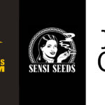 Merger of Barney's Farm, Sensi Seeds and ILGM