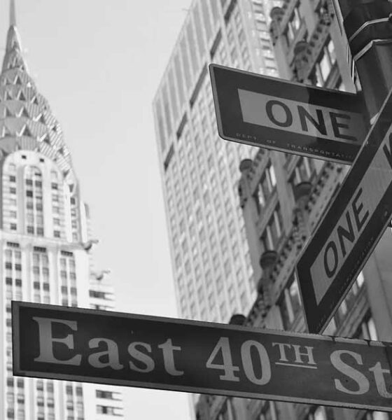 Marques de cannabis à New York