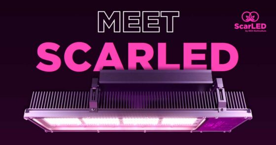 RED Horticulture lance ScarLED™ pour les cultivateurs de cannabis