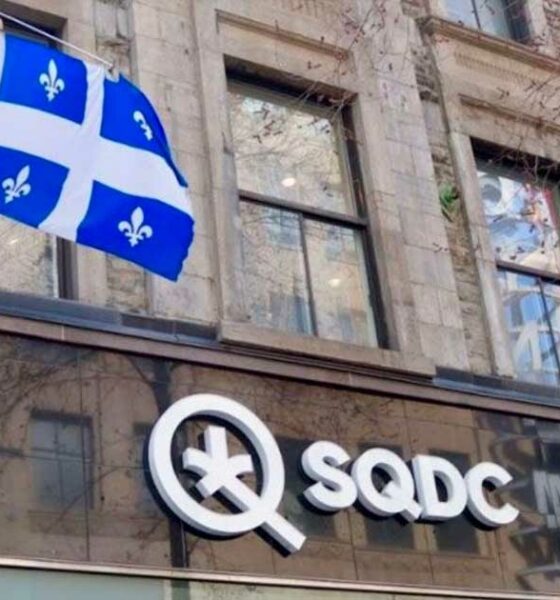 Tendances du cannabis au Québec