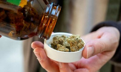 Import de cannabis médical en Allemagne