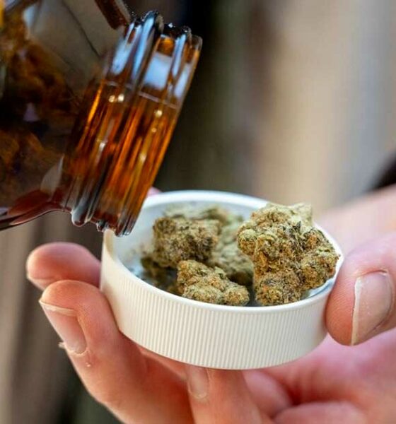 Import de cannabis médical en Allemagne