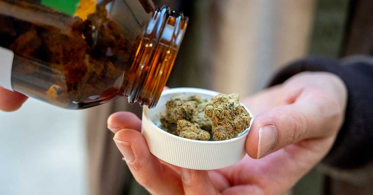 Import de cannabis médical en Allemagne