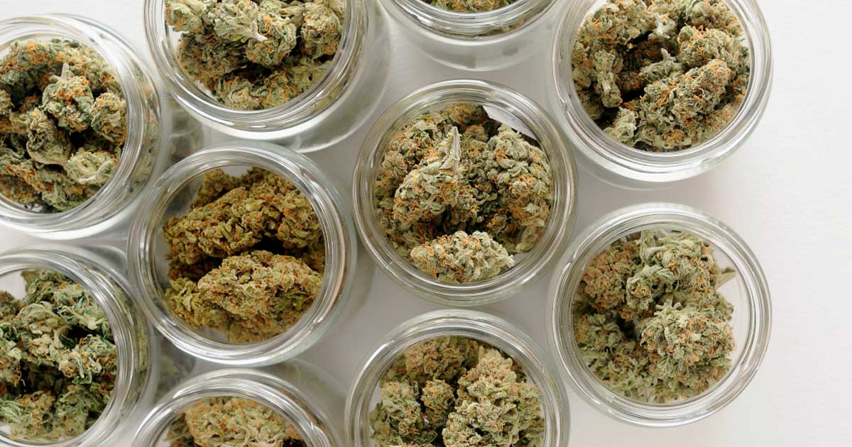 Fleurs CBD en Autriche