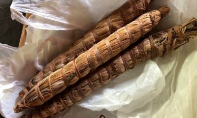 Malawi Cob