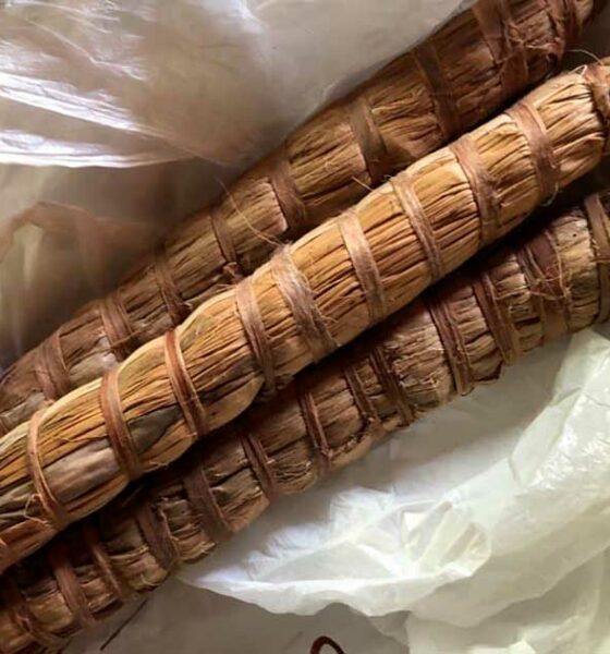 Malawi Cob