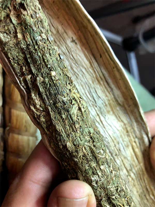 L'intérieur d'un Malawi Cob