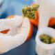 Cannabis en pharmacie en Allemagne