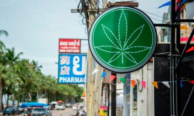 Régulation médicale du cannabis en Thaïlande